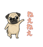 パグと一緒の日常（個別スタンプ：9）