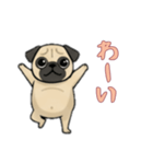 パグと一緒の日常（個別スタンプ：10）