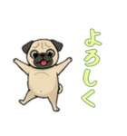パグと一緒の日常（個別スタンプ：11）