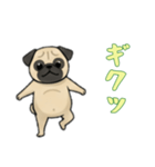 パグと一緒の日常（個別スタンプ：12）