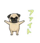 パグと一緒の日常（個別スタンプ：13）