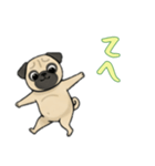 パグと一緒の日常（個別スタンプ：14）