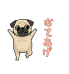 パグと一緒の日常（個別スタンプ：16）