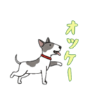 ブルテリアと一緒の日常（個別スタンプ：1）