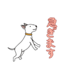 ブルテリアと一緒の日常（個別スタンプ：2）
