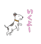 ブルテリアと一緒の日常（個別スタンプ：3）