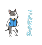 ブルテリアと一緒の日常（個別スタンプ：4）