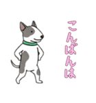 ブルテリアと一緒の日常（個別スタンプ：5）
