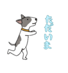 ブルテリアと一緒の日常（個別スタンプ：6）