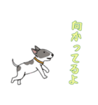 ブルテリアと一緒の日常（個別スタンプ：7）