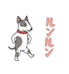 ブルテリアと一緒の日常（個別スタンプ：8）