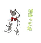 ブルテリアと一緒の日常（個別スタンプ：9）