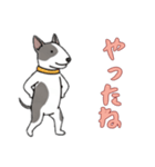 ブルテリアと一緒の日常（個別スタンプ：10）