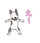 ブルテリアと一緒の日常（個別スタンプ：13）