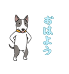 ブルテリアと一緒の日常（個別スタンプ：14）