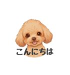 トイプードル(リアルタッチ、アプリコット)（個別スタンプ：2）