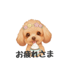 トイプードル(リアルタッチ、アプリコット)（個別スタンプ：5）