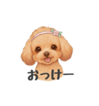 トイプードル(リアルタッチ、アプリコット)（個別スタンプ：15）