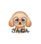 トイプードル(リアルタッチ、アプリコット)（個別スタンプ：16）