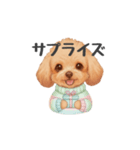 トイプードル(リアルタッチ、アプリコット)（個別スタンプ：19）