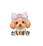 トイプードル(リアルタッチ、アプリコット)（個別スタンプ：35）