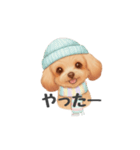 トイプードル(リアルタッチ、アプリコット)（個別スタンプ：36）