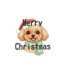 トイプードル(リアルタッチ、アプリコット)（個別スタンプ：40）