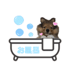 Lumiの日常スタンプ（個別スタンプ：27）
