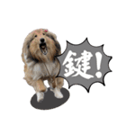 Lumiの日常スタンプ（個別スタンプ：30）