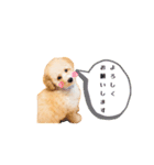 ツナくんのスタンプです（個別スタンプ：5）
