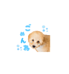 ツナくんのスタンプです（個別スタンプ：7）