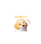 ツナくんのスタンプです（個別スタンプ：8）