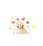 ツナくんのスタンプです（個別スタンプ：9）