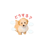 ツナくんのスタンプです（個別スタンプ：10）