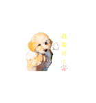 ツナくんのスタンプです（個別スタンプ：15）