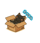 ネコにゃんv3（個別スタンプ：6）