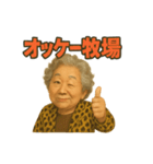 元気お婆の日常会話1（個別スタンプ：1）