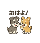 ミニチュアシュナウザーと仲間たち（個別スタンプ：1）