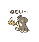 ミニチュアシュナウザーと仲間たち（個別スタンプ：3）