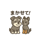 ミニチュアシュナウザーと仲間たち（個別スタンプ：8）