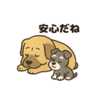 ミニチュアシュナウザーと仲間たち（個別スタンプ：9）