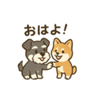 ミニチュアシュナウザーと仲間たち（個別スタンプ：10）