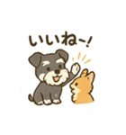 ミニチュアシュナウザーと仲間たち（個別スタンプ：11）