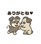 ミニチュアシュナウザーと仲間たち（個別スタンプ：12）