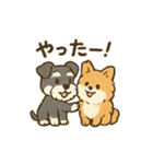 ミニチュアシュナウザーと仲間たち（個別スタンプ：13）