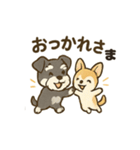 ミニチュアシュナウザーと仲間たち（個別スタンプ：14）