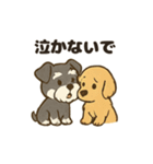 ミニチュアシュナウザーと仲間たち（個別スタンプ：15）