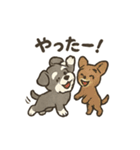ミニチュアシュナウザーと仲間たち（個別スタンプ：19）