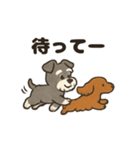 ミニチュアシュナウザーと仲間たち（個別スタンプ：22）