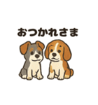 ミニチュアシュナウザーと仲間たち（個別スタンプ：23）